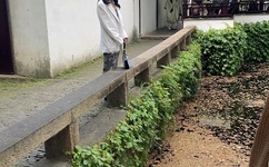 美国混乱关系未删减版